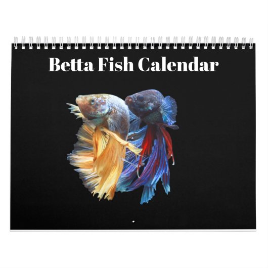 Calendrier Bettafish 2025 (Protection)