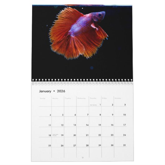 Calendrier Bettafish 2025 (Jan 2026)