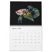 Calendrier Bettafish 2027 (Feb 2027)