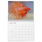 Calendrier Bettafish 2027 (Mar 2027)