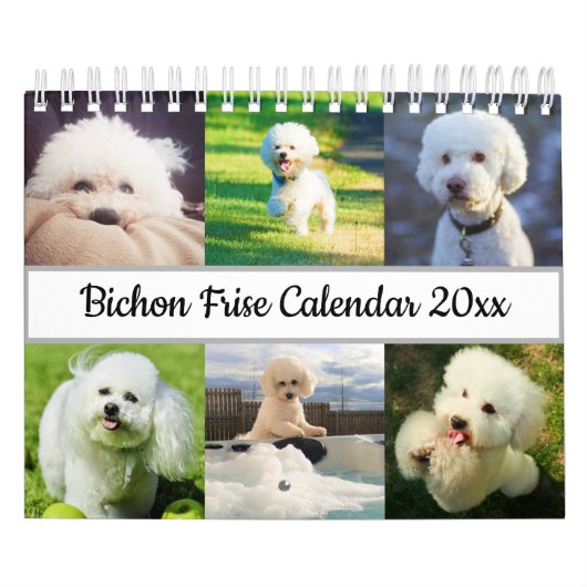 Calendrier Bichon Frise (Protection)