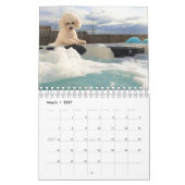 Calendrier Bichon Frise (Mar 2027)