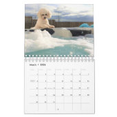 Calendrier Bichon Frise (Mar 2026)