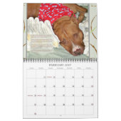 Calendrier bien choisi 2014 du pitbull des (Feb 2027)