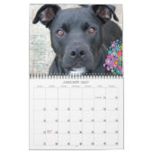 Calendrier bien choisi 2014 du pitbull des (Jan 2027)