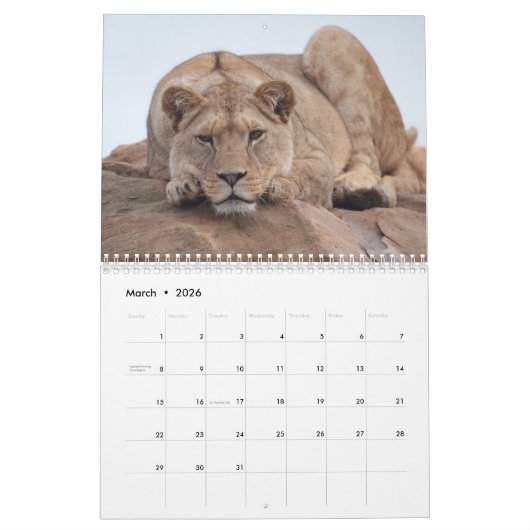 Calendrier Big Cat 2026 (Mar 2026)