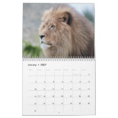 Calendrier Big Cat 2026 (Jan 2027)