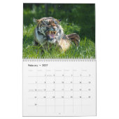Calendrier Big Cat 2026 (Feb 2027)
