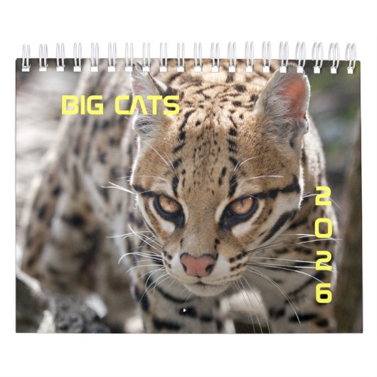Calendrier Big Cats (Protection)