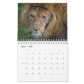 Calendrier Big Cats (Mar 2027)