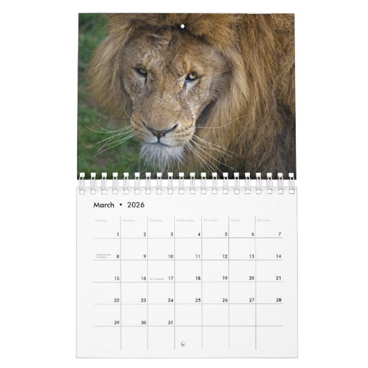 Calendrier Big Cats (Mar 2026)