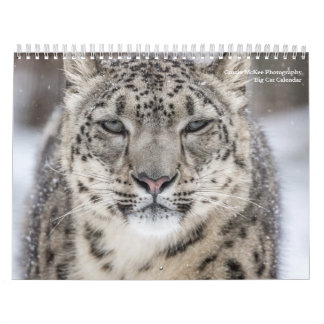Calendrier Big Cats