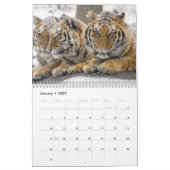 Calendrier Big Cats (Jan 2027)