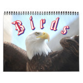 Calendrier Bird Calendar (Protection)