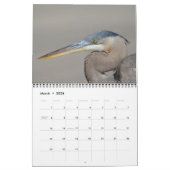 Calendrier Bird Calendar (Mar 2026)
