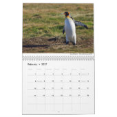 Calendrier Birds 2021 par Chris Milligan (Feb 2027)