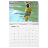 Calendrier Birds 2021 par Chris Milligan (Jan 2027)