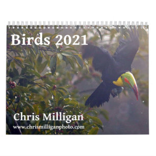 Calendrier Birds 2021 par Chris Milligan