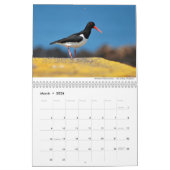 Calendrier Birds 2021 par Chris Milligan (Mar 2026)