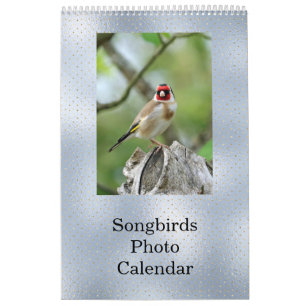 Calendrier Birds Blue Photo personnalisable