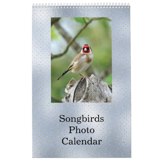 Calendrier Birds Blue Photo personnalisable (Protection)