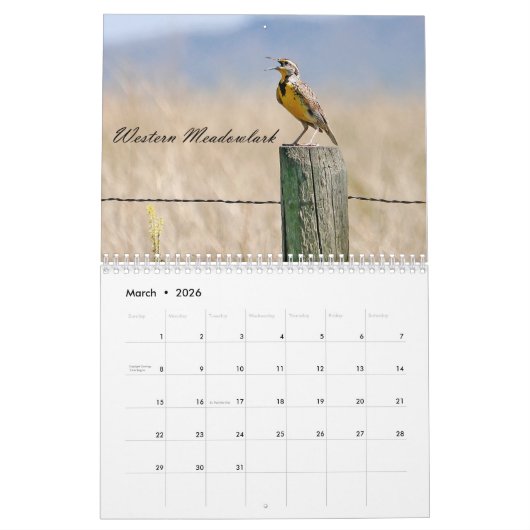 Calendrier Birds of Fields and Prairies Calendar (Mar 2026)
