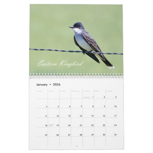 Calendrier Birds of Fields and Prairies Calendar (Jan 2026)
