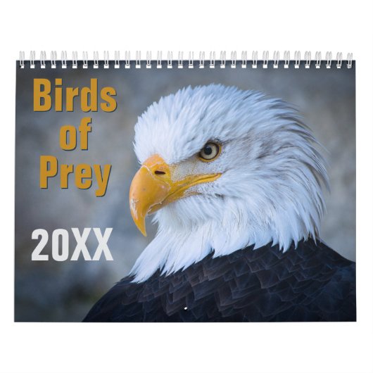 Calendrier Birds of Prey Calendar (Protection)
