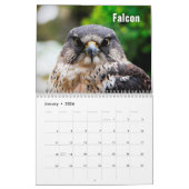 Calendrier Birds of Prey Calendar (Jan 2026)