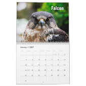 Calendrier Birds of Prey Calendar (Jan 2027)