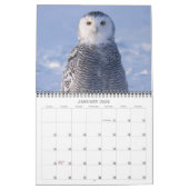 Calendrier Birds Of The Arctic Photo Calendar Alaska (Jan 2026)