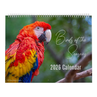 Calendrier Birds of the Seasons 12 Month Nature Calendar