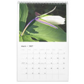Calendrier Birdseye carde 2008 (Mar 2027)