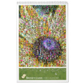 Calendrier Birdseye carde 2008 (Protection)