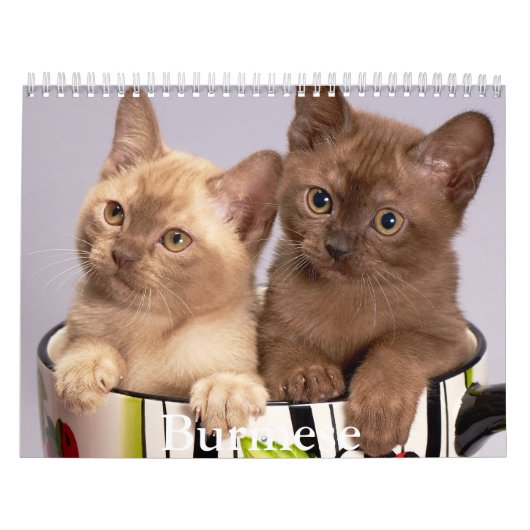 Calendrier birman (Protection)