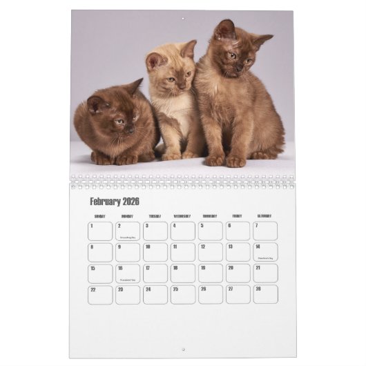 Calendrier birman (Feb 2026)