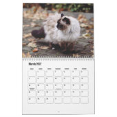 Calendrier Birman (Mar 2027)