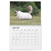 Calendrier Birman (Feb 2027)