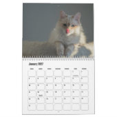 Calendrier Birman (Jan 2027)