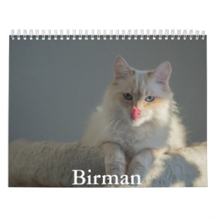 Calendrier Birman