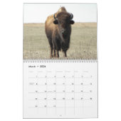 Calendrier Bison américain (Mar 2026)