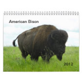 Calendrier Bison américain (Protection)