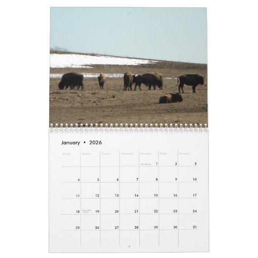 Calendrier Bison américain (Jan 2026)