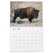 Calendrier Bison Buffalo 2025 (Mar 2026)