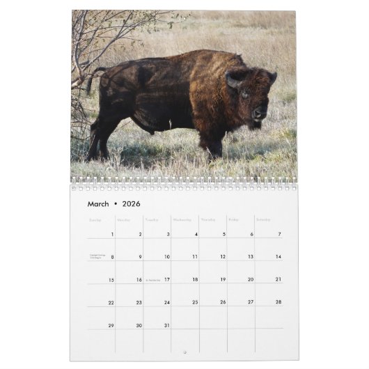 Calendrier Bison Buffalo 2025 (Mar 2026)