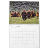 Calendrier Bison Buffalo 2025 (Feb 2026)