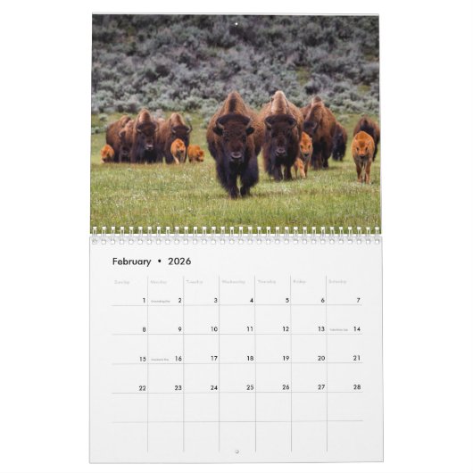 Calendrier Bison Buffalo 2025 (Feb 2026)