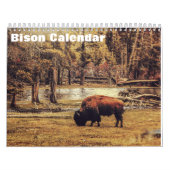 Calendrier Bison Buffalo 2025 (Protection)