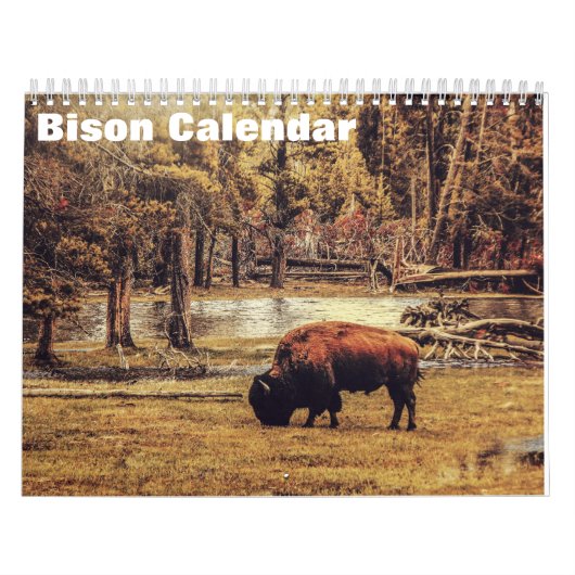 Calendrier Bison Buffalo 2025 (Protection)