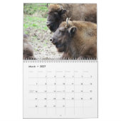 Calendrier Bison Buffalo 2026 (Mar 2027)